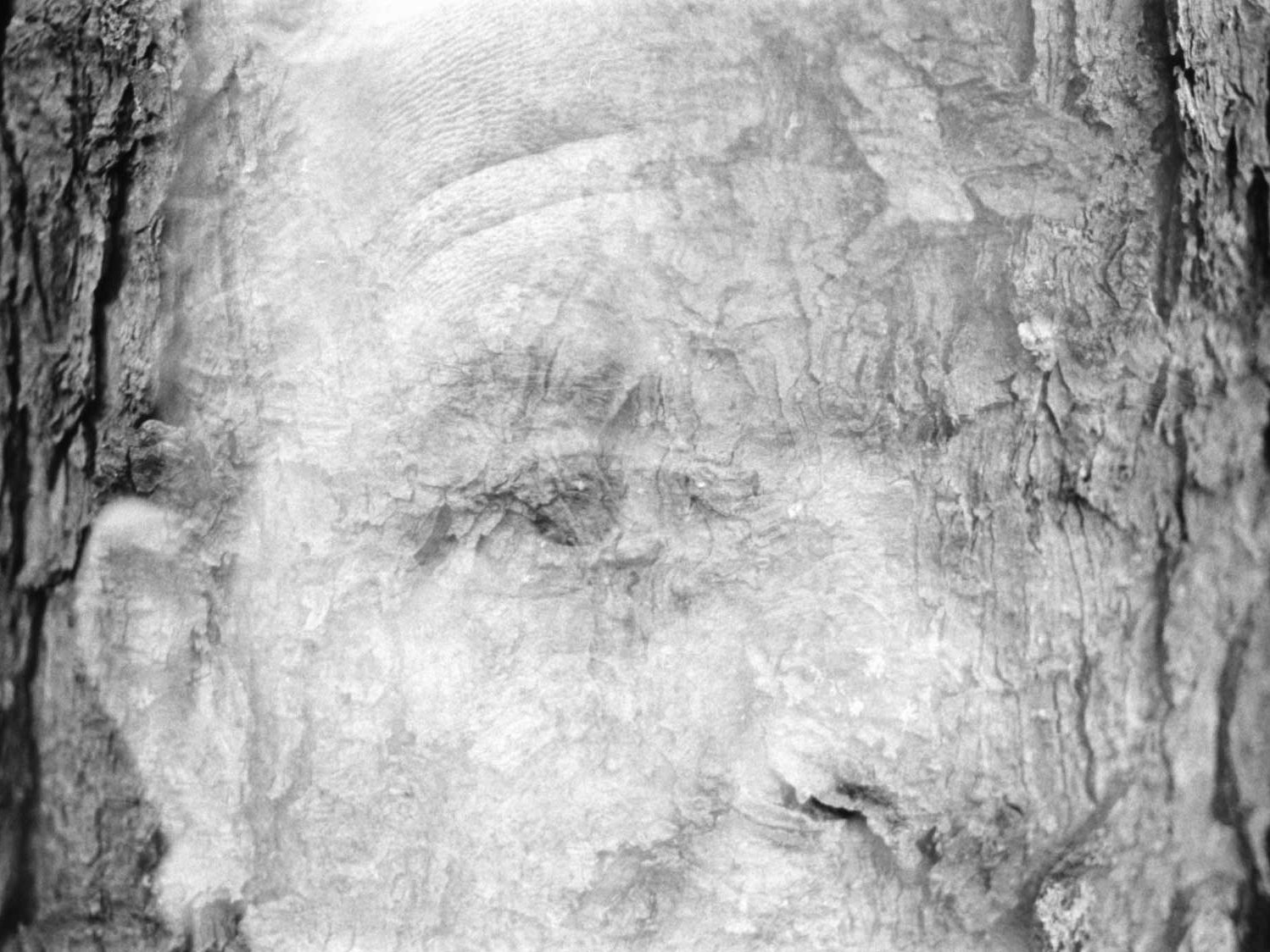 Lucid Dreams: Self-Concept. Camera: Nikon F100. Film: Kodak Tri-X 400.