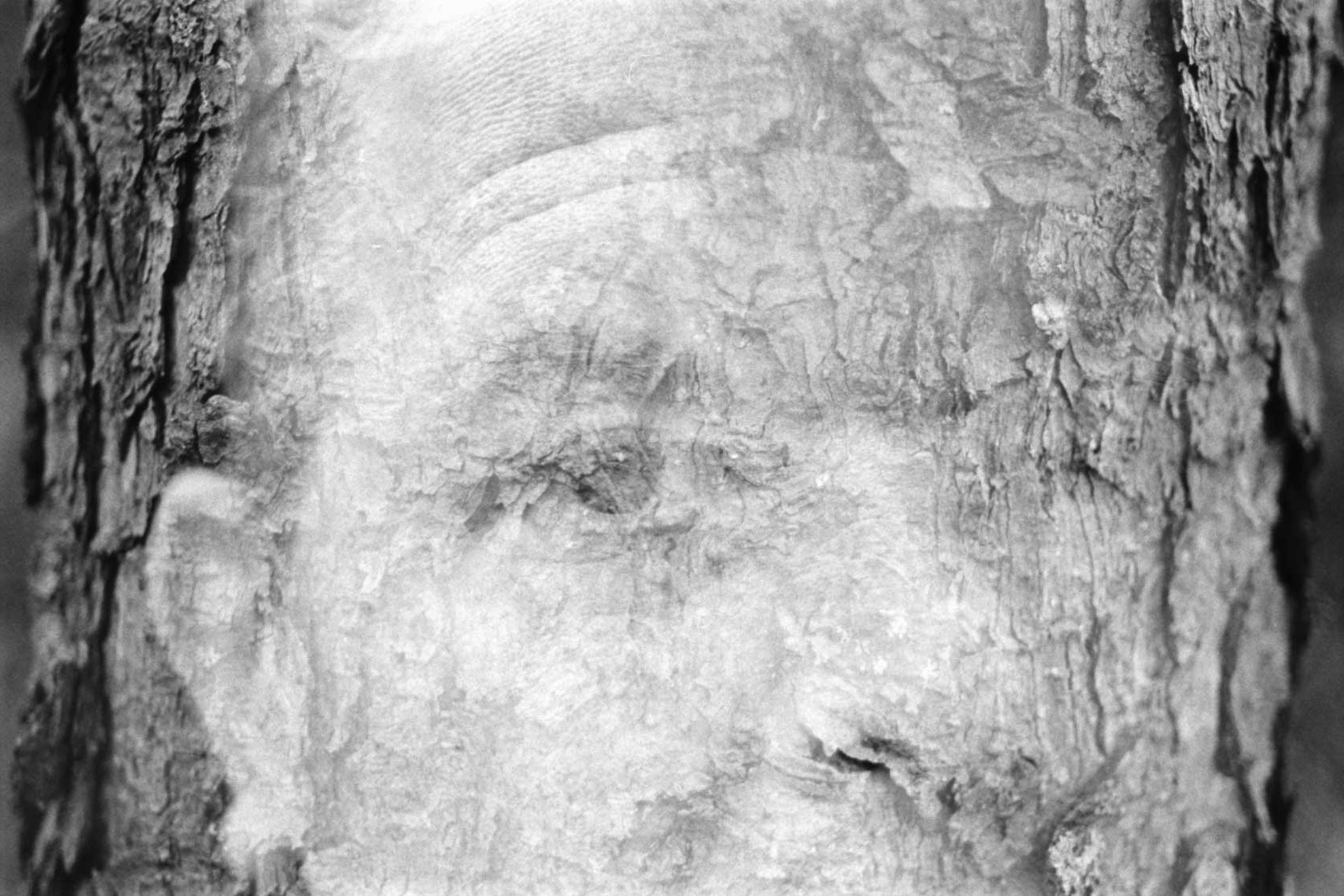 Lucid Dreams: Self-Concept. Camera: Nikon F100. Film: Kodak Tri-X 400.