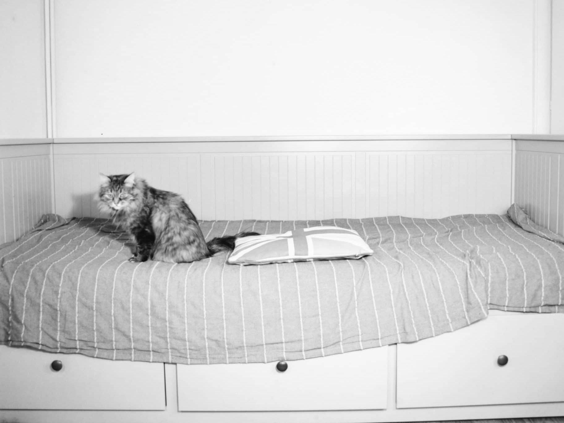 What ever happened to Brexit?