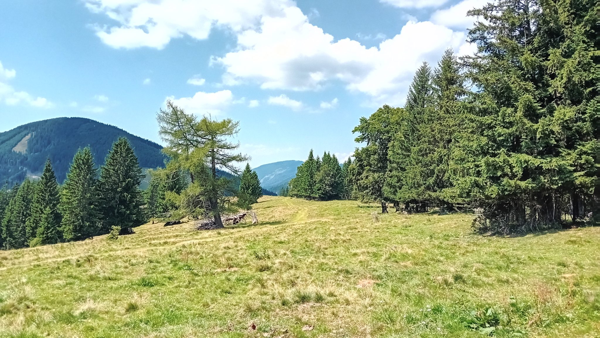 Das steirische Almenland im Südosten Österreichs